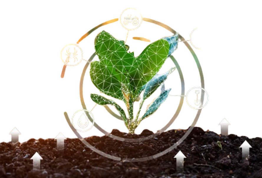 Smart Farming Illustration