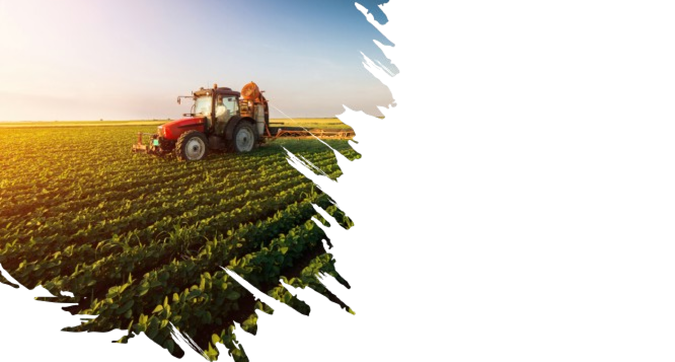 Yield Prediction